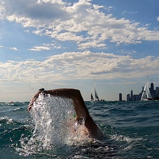 Open Waterlog